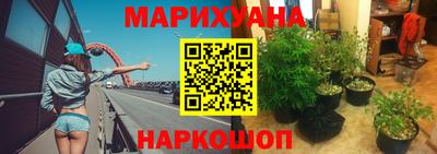 Альфа ПВП Нягань