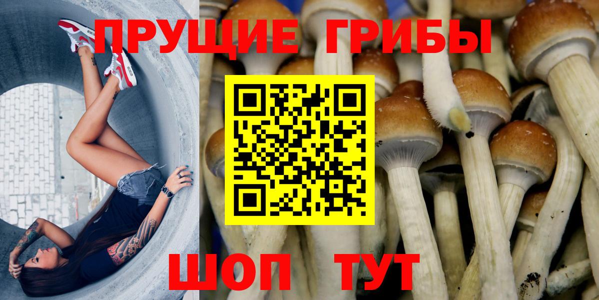 Галлюциногенные грибы Cubensis  Галлюциногенные грибы ЛСД  Советский  Вход с VPN 